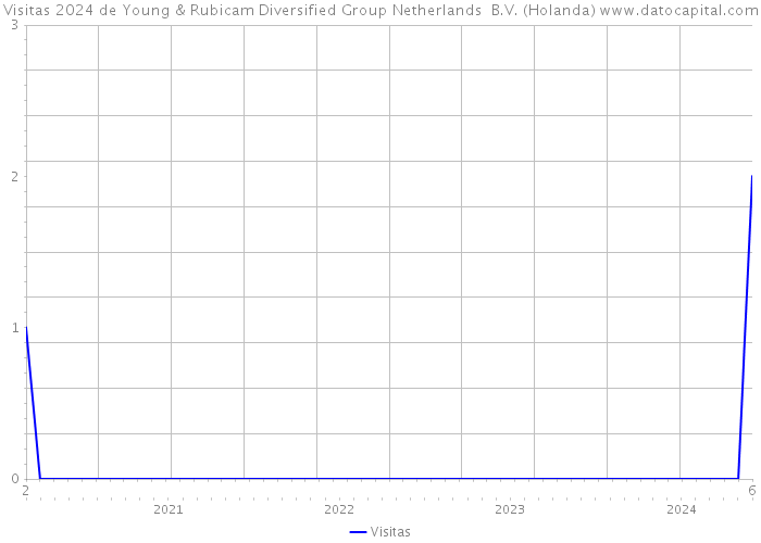 Visitas 2024 de Young & Rubicam Diversified Group Netherlands B.V. (Holanda) 