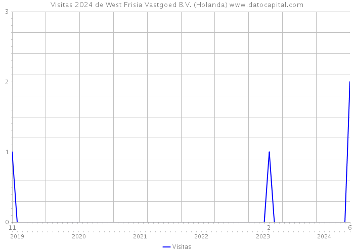 Visitas 2024 de West Frisia Vastgoed B.V. (Holanda) 