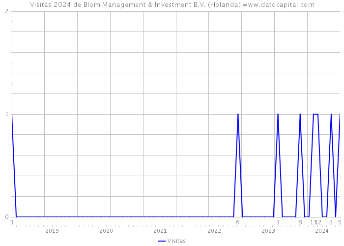 Visitas 2024 de Blom Management & Investment B.V. (Holanda) 