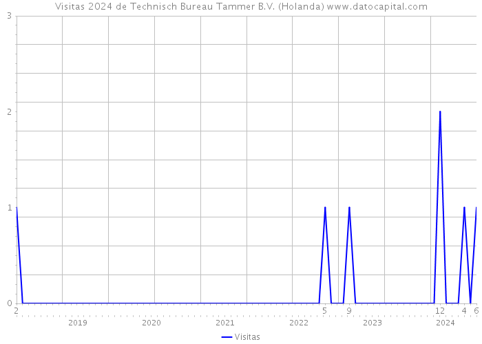 Visitas 2024 de Technisch Bureau Tammer B.V. (Holanda) 