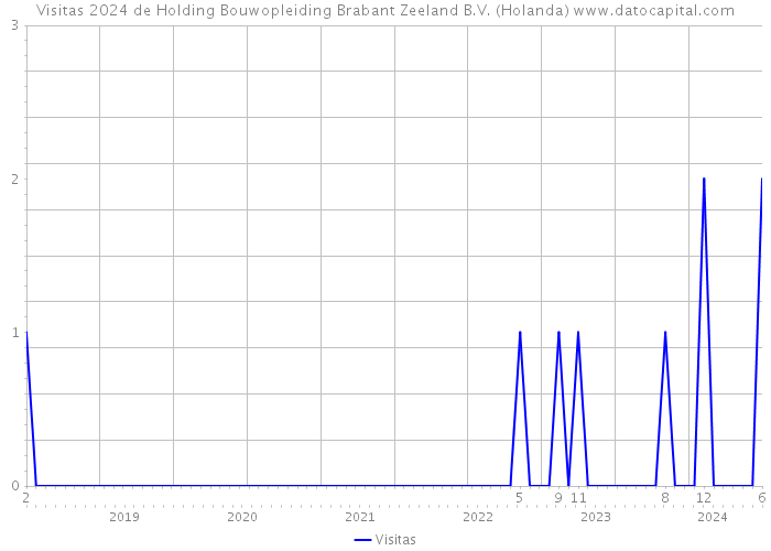 Visitas 2024 de Holding Bouwopleiding Brabant Zeeland B.V. (Holanda) 