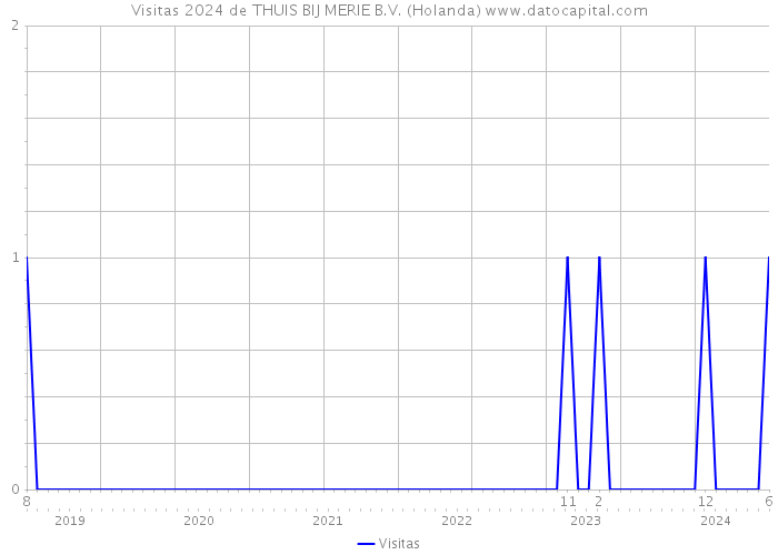 Visitas 2024 de THUIS BIJ MERIE B.V. (Holanda) 