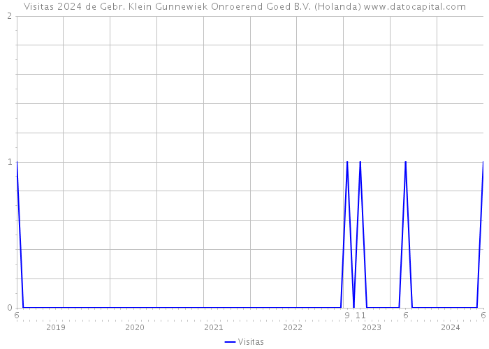 Visitas 2024 de Gebr. Klein Gunnewiek Onroerend Goed B.V. (Holanda) 