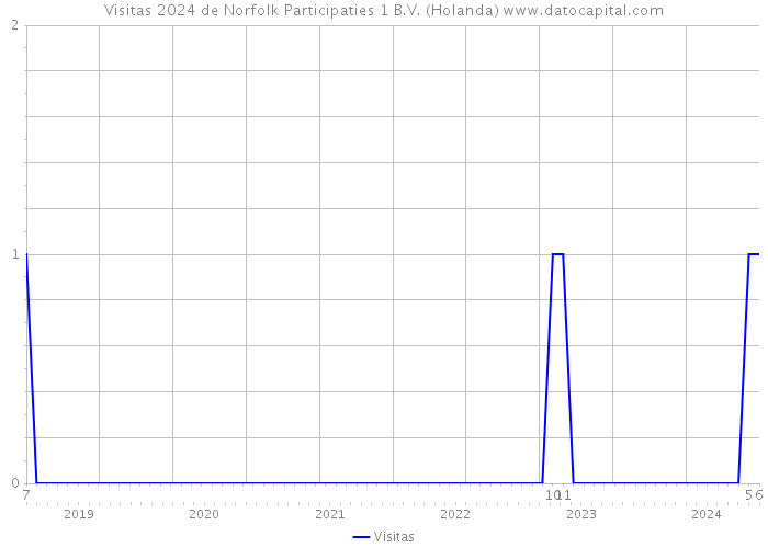 Visitas 2024 de Norfolk Participaties 1 B.V. (Holanda) 
