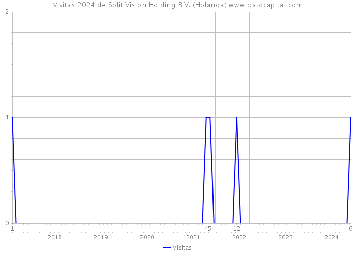 Visitas 2024 de Split Vision Holding B.V. (Holanda) 