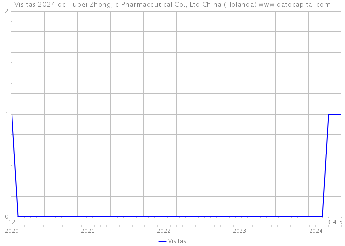 Visitas 2024 de Hubei Zhongjie Pharmaceutical Co., Ltd China (Holanda) 