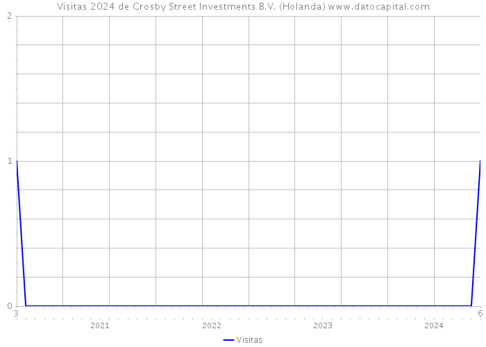 Visitas 2024 de Crosby Street Investments B.V. (Holanda) 