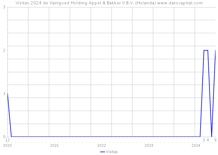 Visitas 2024 de Vastgoed Holding Appel & Bakker II B.V. (Holanda) 