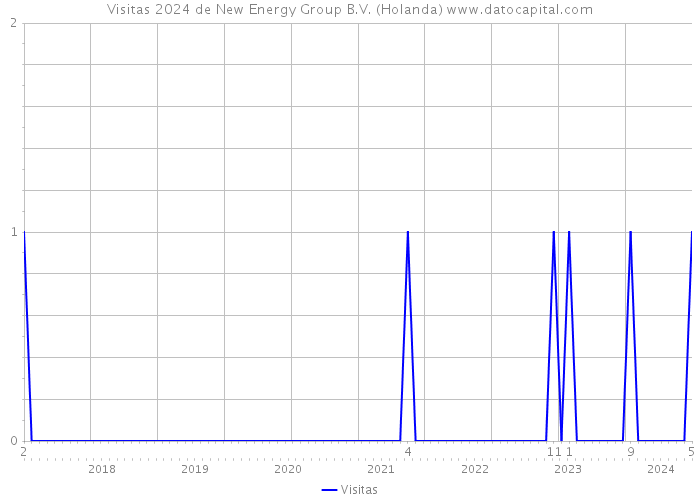 Visitas 2024 de New Energy Group B.V. (Holanda) 