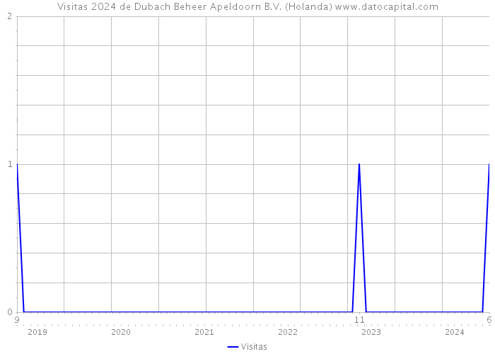 Visitas 2024 de Dubach Beheer Apeldoorn B.V. (Holanda) 