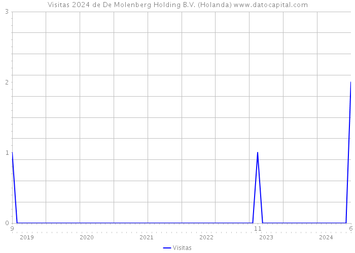 Visitas 2024 de De Molenberg Holding B.V. (Holanda) 