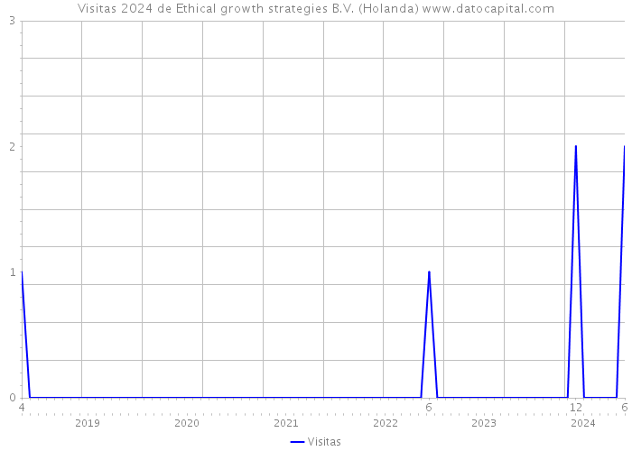 Visitas 2024 de Ethical growth strategies B.V. (Holanda) 
