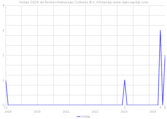 Visitas 2024 de Recherchebureau Cothedo B.V. (Holanda) 