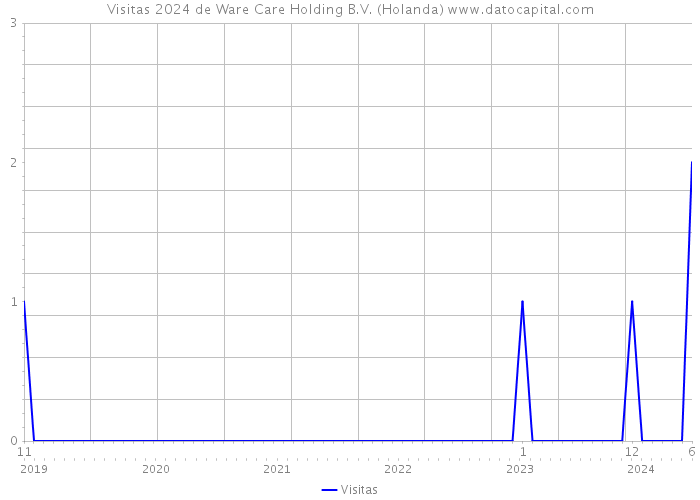 Visitas 2024 de Ware Care Holding B.V. (Holanda) 