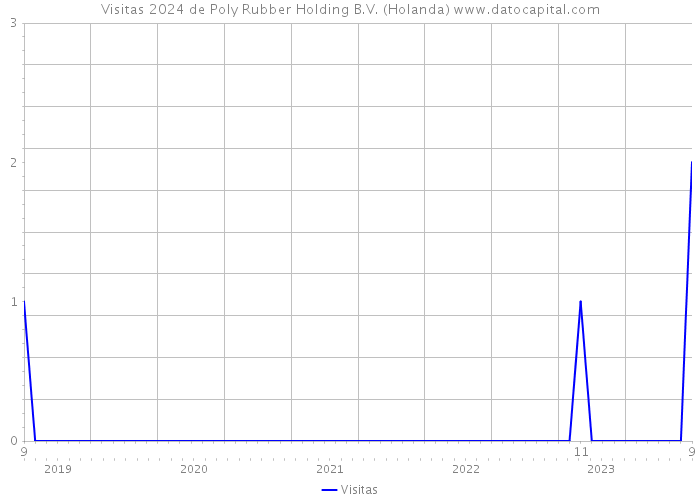 Visitas 2024 de Poly Rubber Holding B.V. (Holanda) 