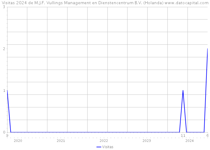 Visitas 2024 de M.J.F. Vullings Management en Dienstencentrum B.V. (Holanda) 