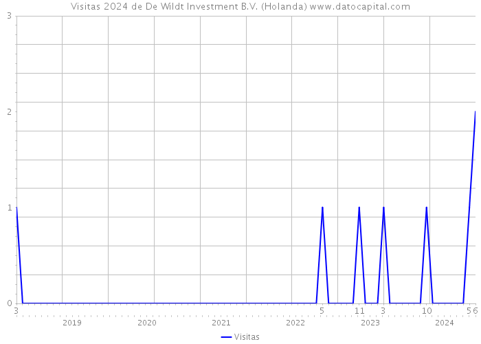 Visitas 2024 de De Wildt Investment B.V. (Holanda) 