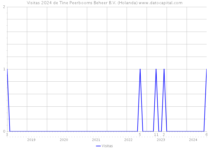 Visitas 2024 de Tine Peerbooms Beheer B.V. (Holanda) 