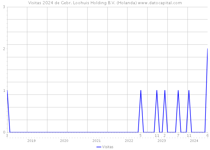 Visitas 2024 de Gebr. Loohuis Holding B.V. (Holanda) 