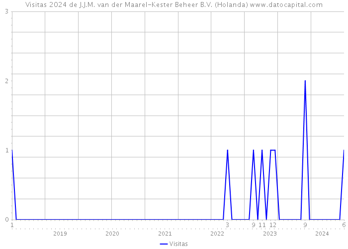 Visitas 2024 de J.J.M. van der Maarel-Kester Beheer B.V. (Holanda) 