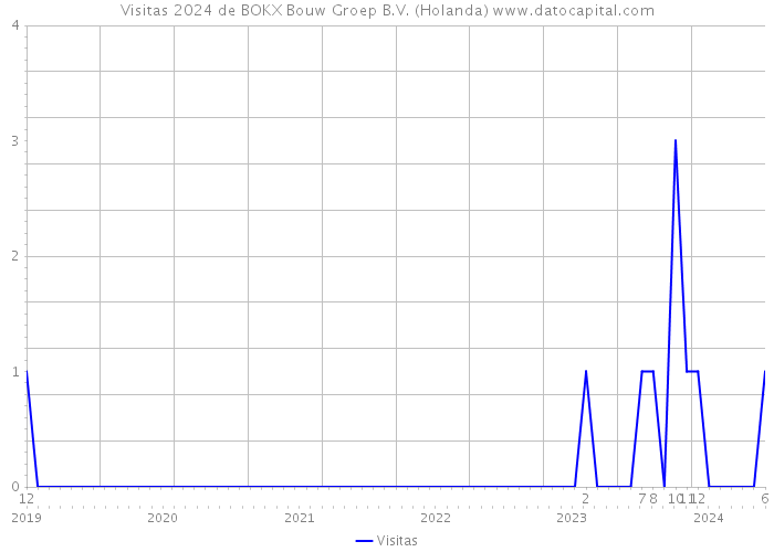 Visitas 2024 de BOKX Bouw Groep B.V. (Holanda) 