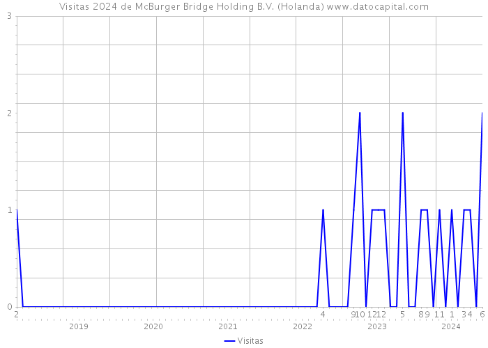 Visitas 2024 de McBurger Bridge Holding B.V. (Holanda) 