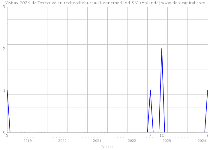 Visitas 2024 de Detective en recherchebureau Kennemerland B.V. (Holanda) 