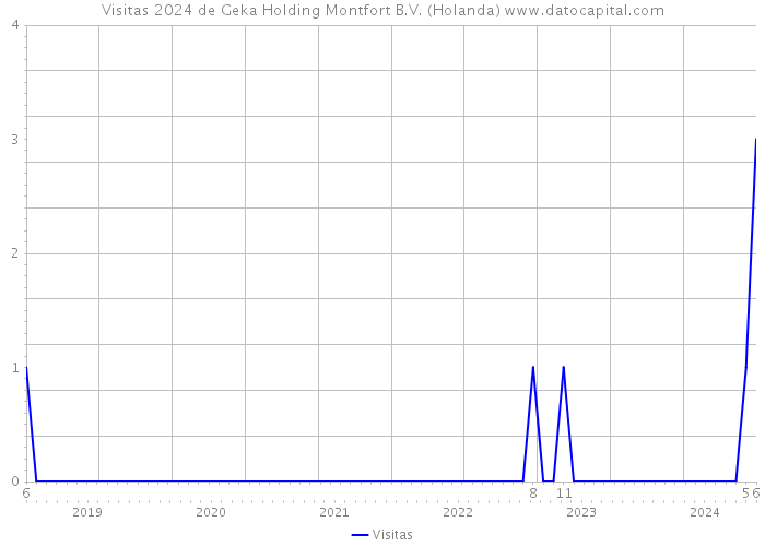 Visitas 2024 de Geka Holding Montfort B.V. (Holanda) 