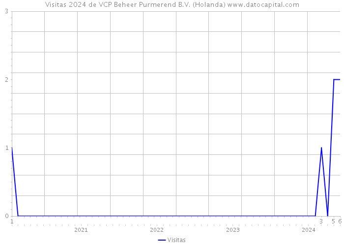 Visitas 2024 de VCP Beheer Purmerend B.V. (Holanda) 