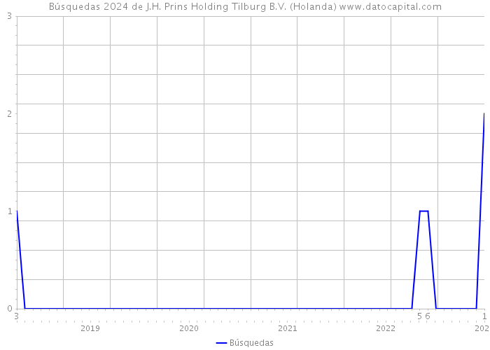 Búsquedas 2024 de J.H. Prins Holding Tilburg B.V. (Holanda) 