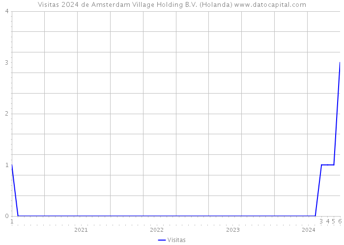 Visitas 2024 de Amsterdam Village Holding B.V. (Holanda) 
