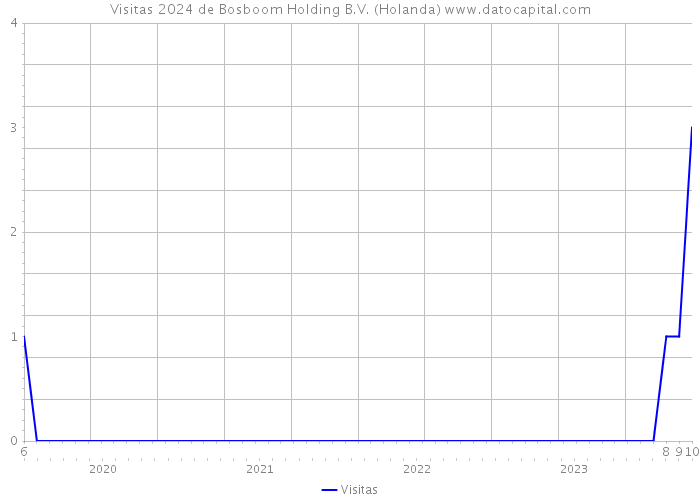 Visitas 2024 de Bosboom Holding B.V. (Holanda) 