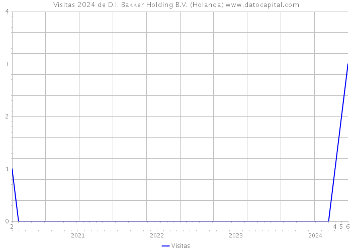 Visitas 2024 de D.I. Bakker Holding B.V. (Holanda) 