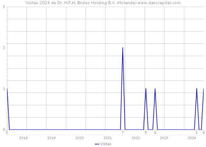 Visitas 2024 de Dr. H.F.H. Brulez Holding B.V. (Holanda) 