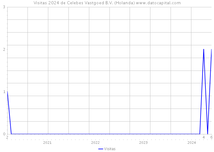 Visitas 2024 de Celebes Vastgoed B.V. (Holanda) 