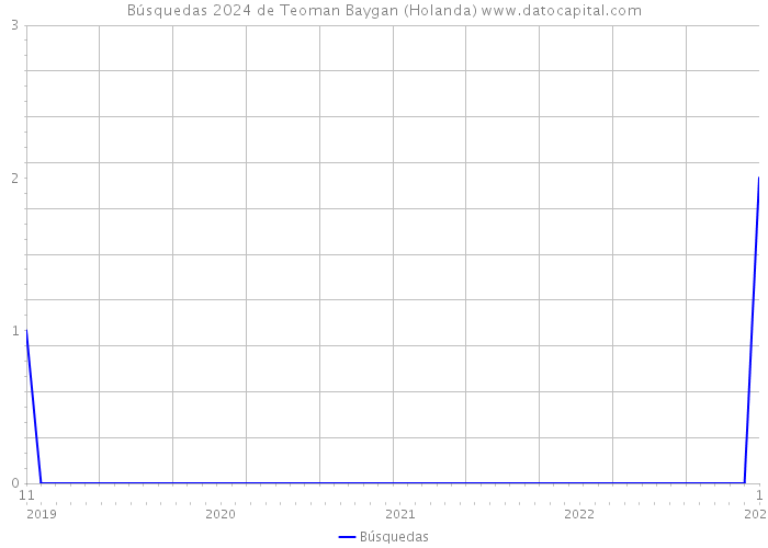 Búsquedas 2024 de Teoman Baygan (Holanda) 