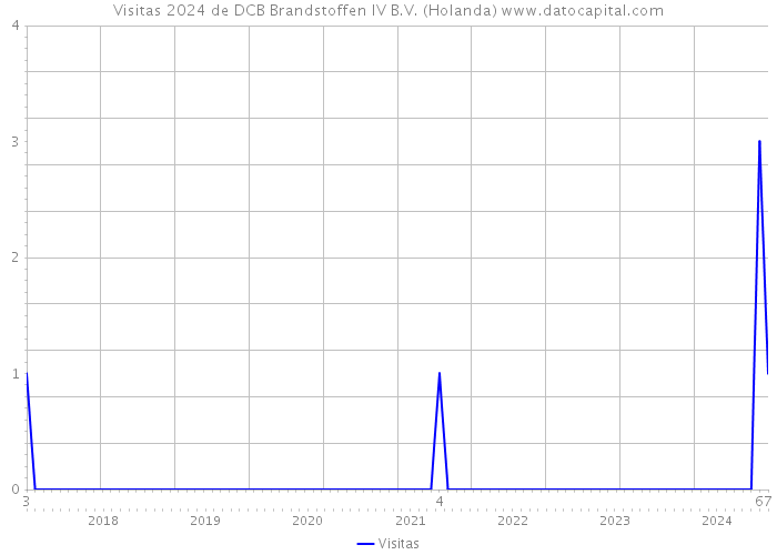 Visitas 2024 de DCB Brandstoffen IV B.V. (Holanda) 