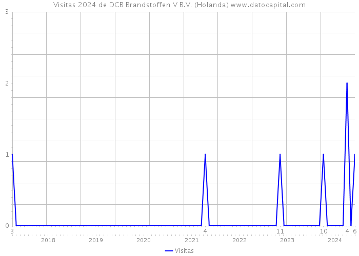 Visitas 2024 de DCB Brandstoffen V B.V. (Holanda) 