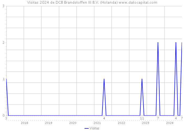 Visitas 2024 de DCB Brandstoffen III B.V. (Holanda) 