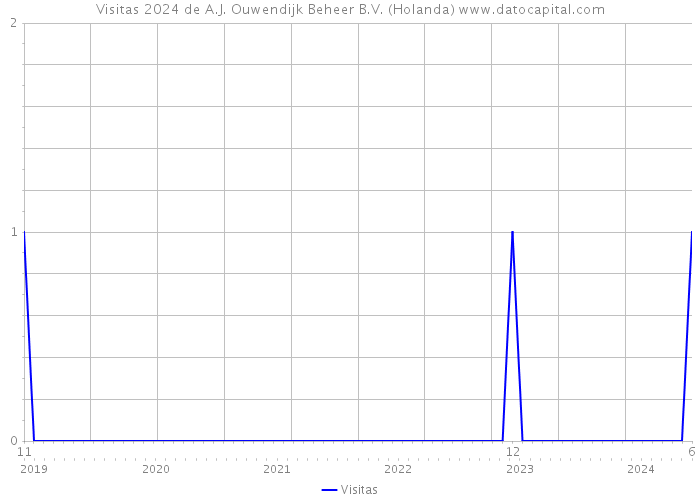 Visitas 2024 de A.J. Ouwendijk Beheer B.V. (Holanda) 