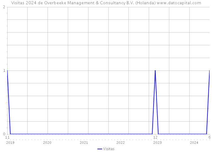 Visitas 2024 de Overbeeke Management & Consultancy B.V. (Holanda) 