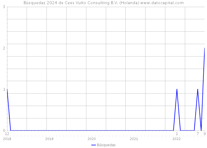 Búsquedas 2024 de Cees Vulto Consulting B.V. (Holanda) 