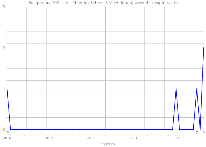 Búsquedas 2024 de L.M. Vulto Beheer B.V. (Holanda) 