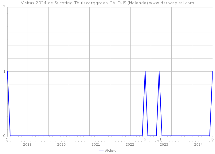 Visitas 2024 de Stichting Thuiszorggroep CALDUS (Holanda) 