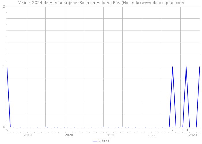 Visitas 2024 de Hanita Krijene-Bosman Holding B.V. (Holanda) 