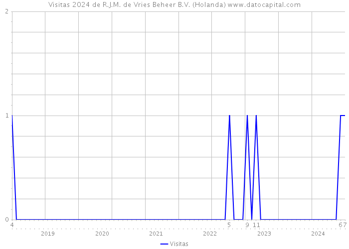 Visitas 2024 de R.J.M. de Vries Beheer B.V. (Holanda) 