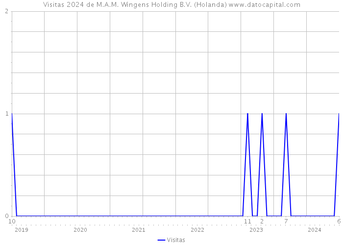 Visitas 2024 de M.A.M. Wingens Holding B.V. (Holanda) 