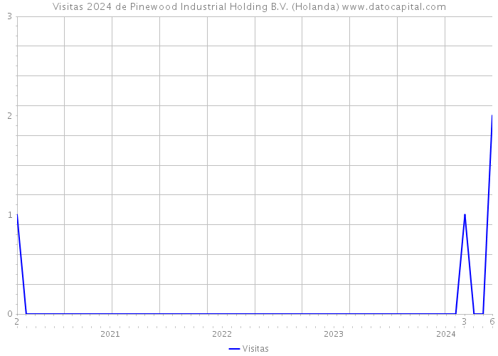 Visitas 2024 de Pinewood Industrial Holding B.V. (Holanda) 