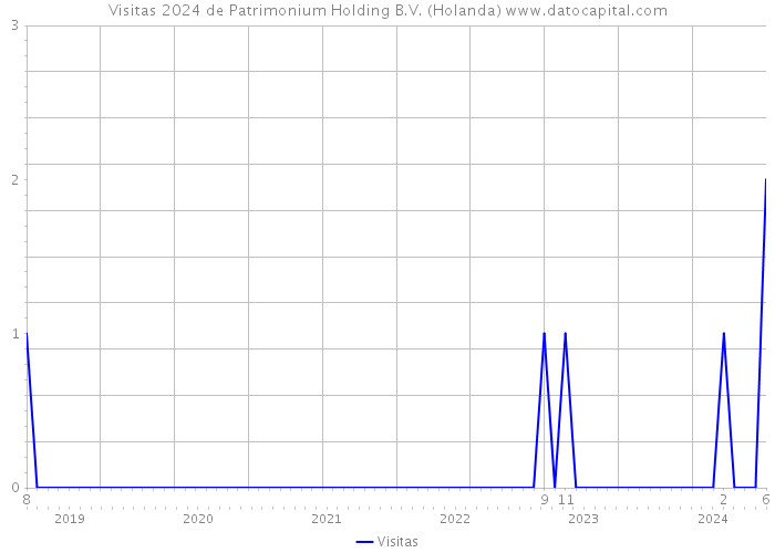 Visitas 2024 de Patrimonium Holding B.V. (Holanda) 