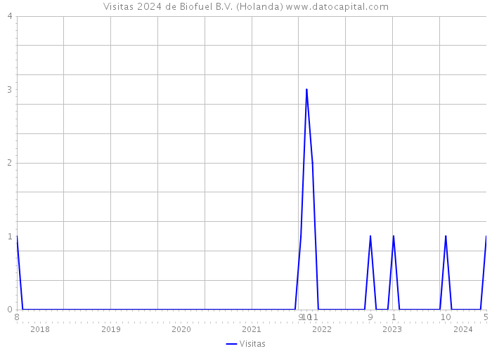 Visitas 2024 de Biofuel B.V. (Holanda) 